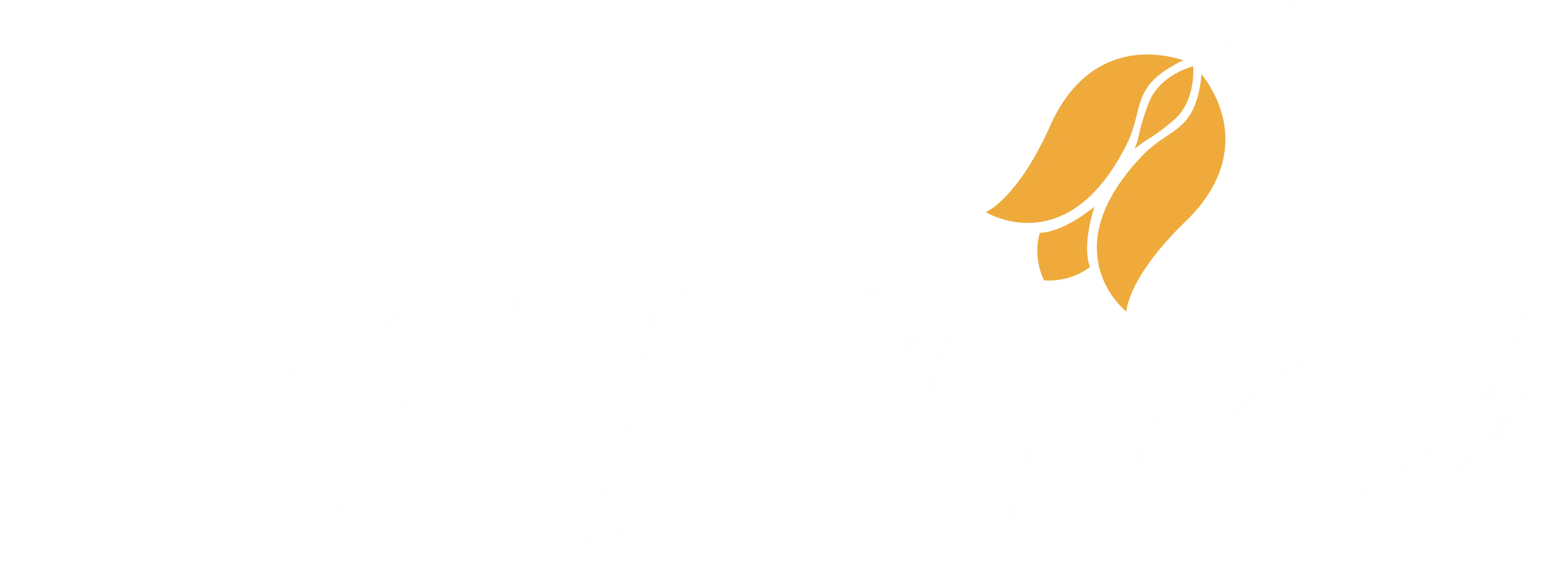 Logo white